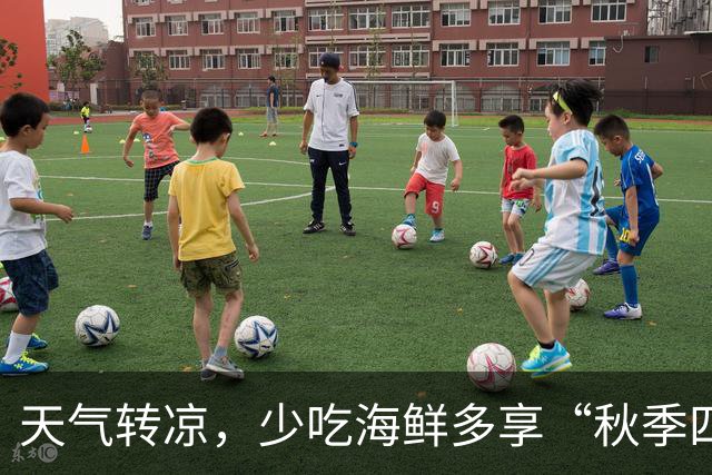 天气转凉，少吃海鲜多享“秋季四宝”，驱寒养身，充满活力