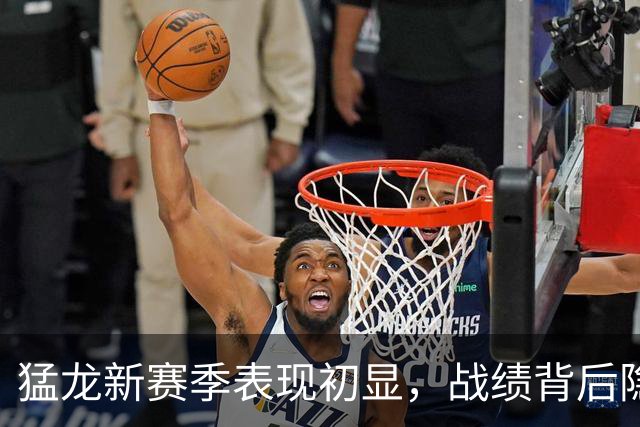 猛龙新赛季表现初显，战绩背后隐患浮现